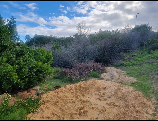 910M² VACANT LAND FOR SALE IN DANA BAY